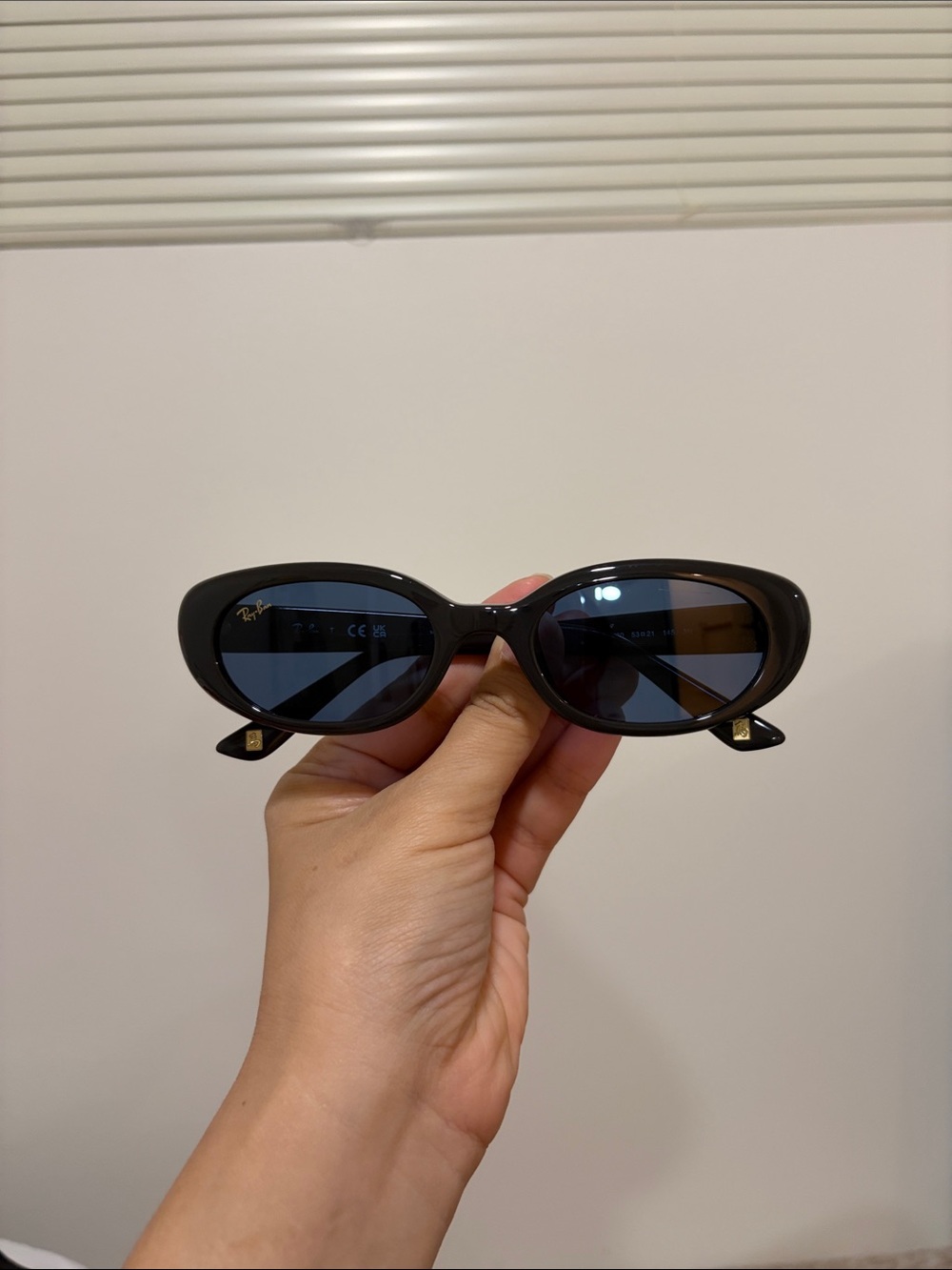 Ray-Ban Womens RB4441D YEAR OF THE HORSE EDITION